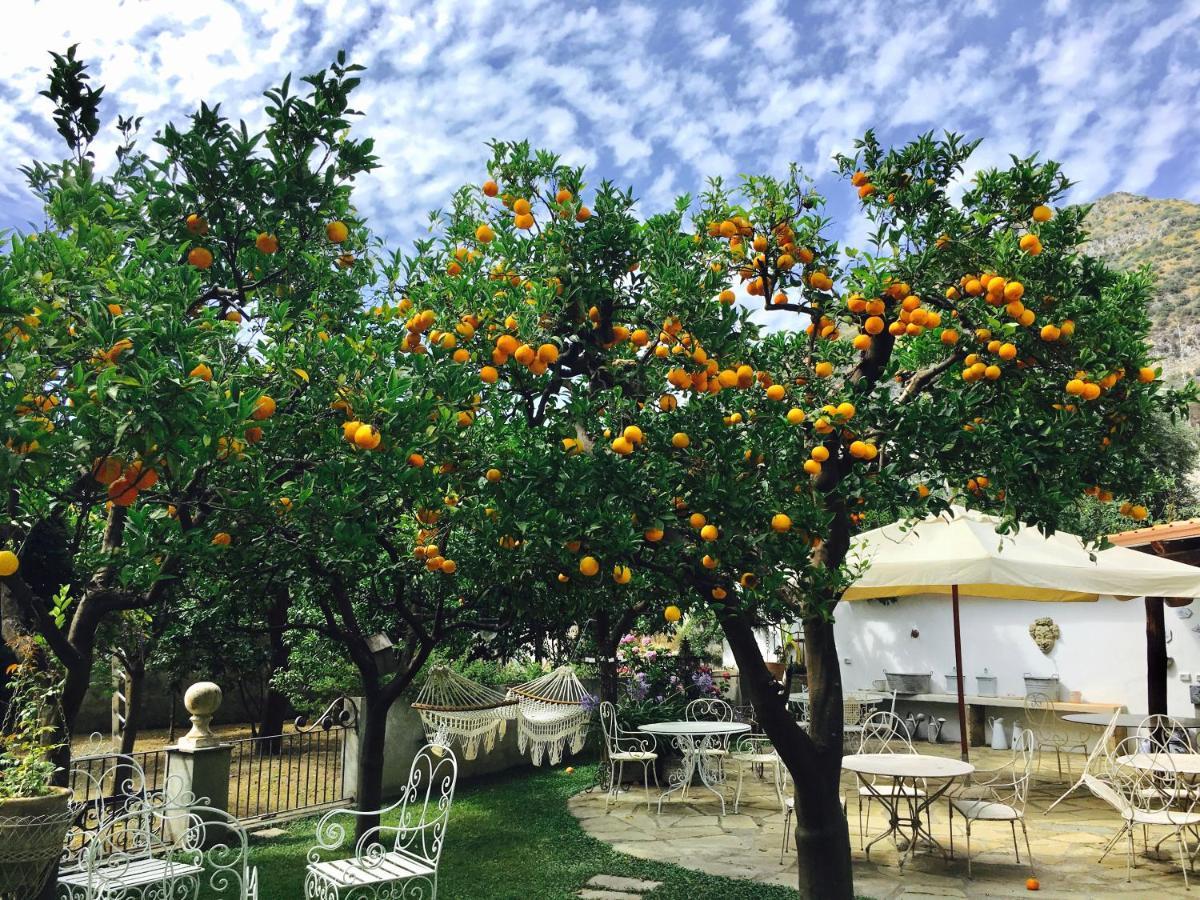 Palazzo Cacace Relais Hotel Meta Luaran gambar
