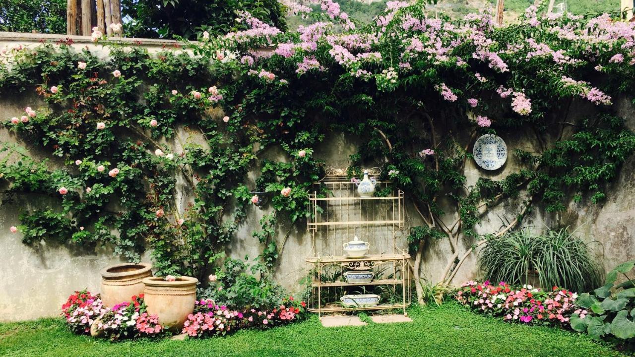 Palazzo Cacace Relais Hotel Meta Luaran gambar