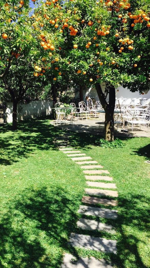 Palazzo Cacace Relais Hotel Meta Luaran gambar